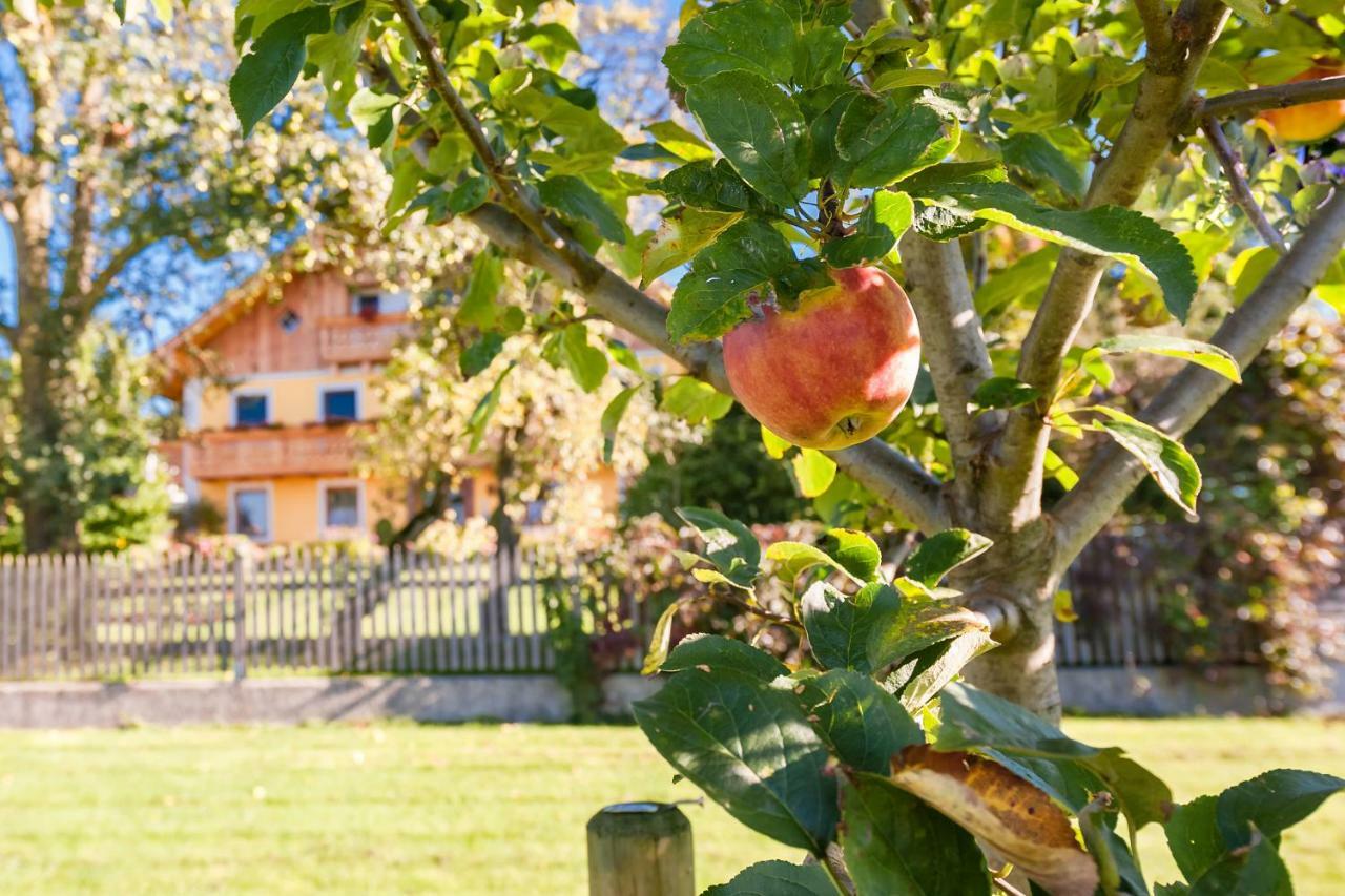 Girlinggut Schlafen Starten Salzburg Elixhausen المظهر الخارجي الصورة